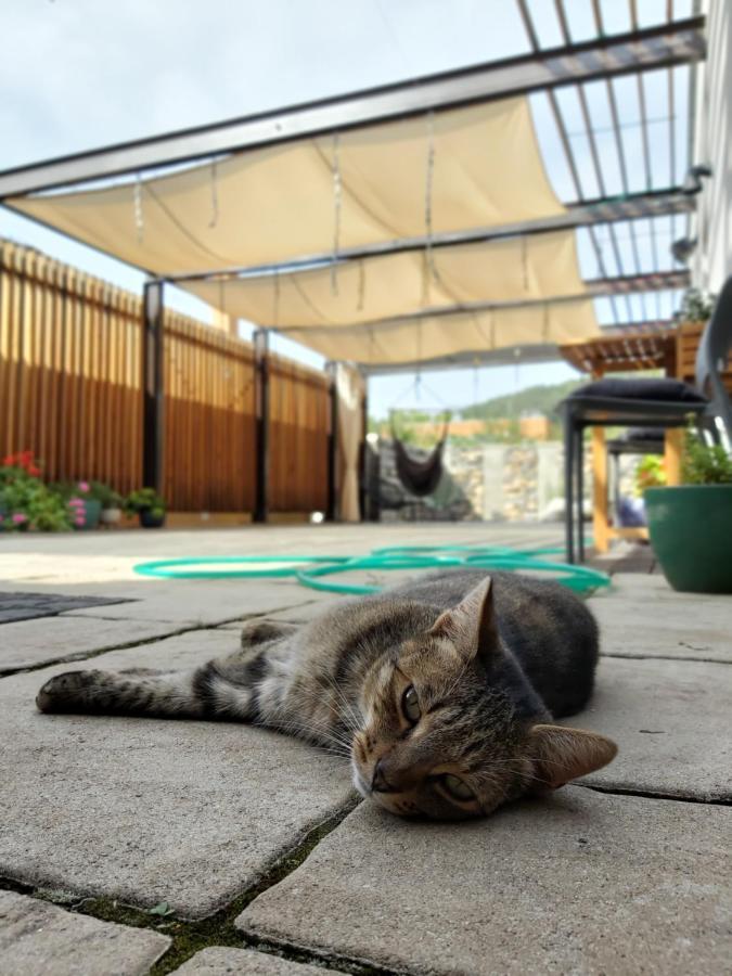 Vigeo Lounge B&B Coffee Bojnice Dış mekan fotoğraf
